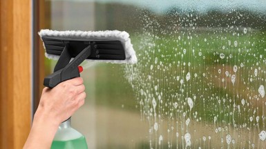 Bosch Bahçe Aletleri - Bosch GlassVAC Konsantre Deterjan