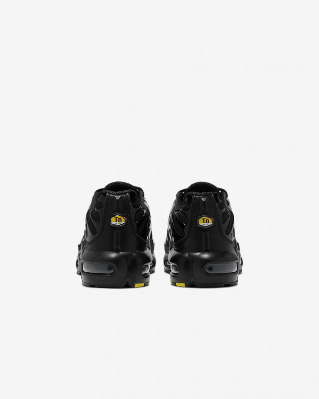 Nike Air Max Plus Genç Çocuk Ayakkabısı CD0609-001